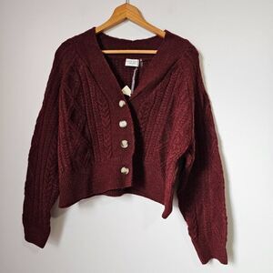 NWT DRESS FORUM DEEP RED V NECK BUTTON DOWN SWEATER SIZE L